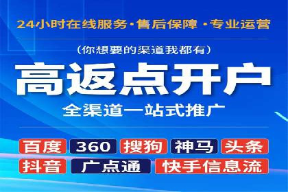 竞价推广策略解析：实战案例分析